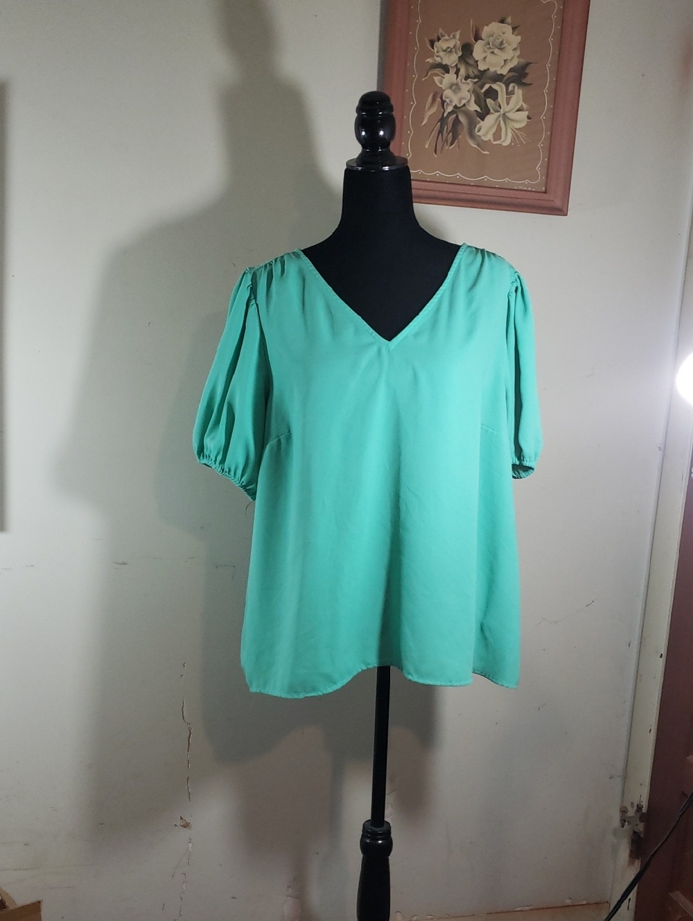 Women's V-Neck Short Sleeve Blouse - Mint Green